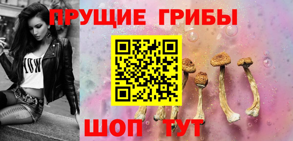 Псилоцибиновые грибы Magic Shrooms  где купить   Мыски  Вход с VPN  Галлюциногенные грибы MAGIC MUSHROOMS 